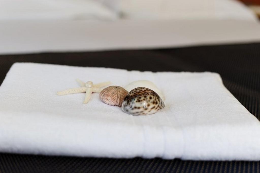 Hotel Byron Solo Per Giovani Riccione Chambre photo